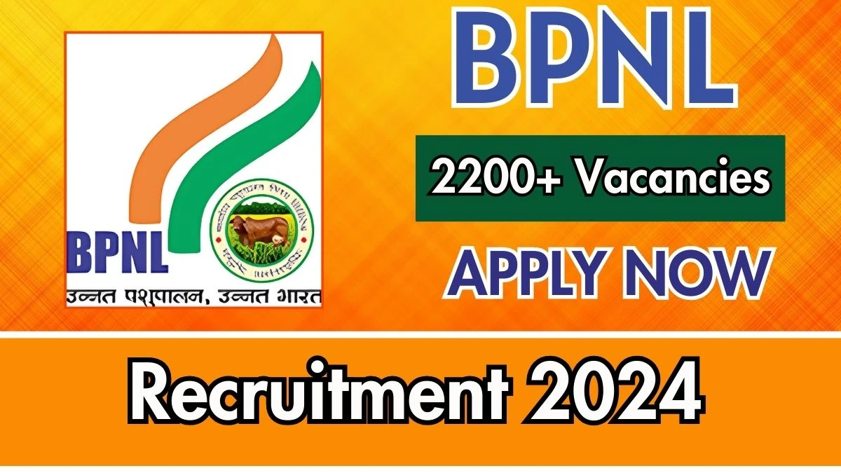 BPNL Govt Jobs 2024: 2248 Officer, Assistant Vacancy, Graduate Pass Jobs in Jaipur