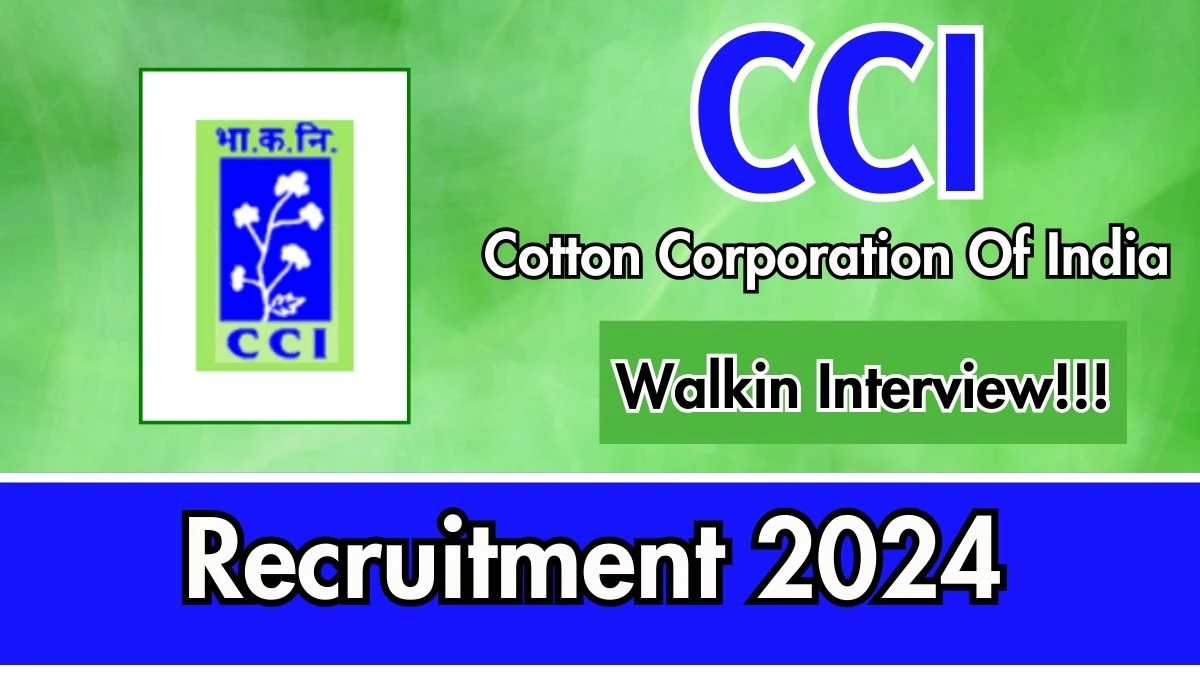 Cotton Corporation Of India Govt Jobs 2024: Office Staff Vacancy, Graduate Pass