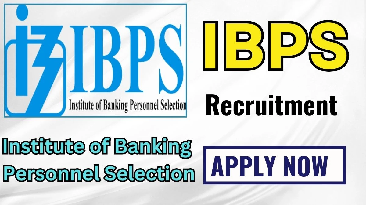 IBPS Recruitment 2024 Walk-In Interviews for Server Administrator on 27/11/2024