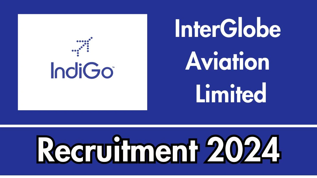 IndiGo Job Vacancy 2024 for Freshers: Cabin Attendant Vacancies, 12TH Pass Jobs in Across India