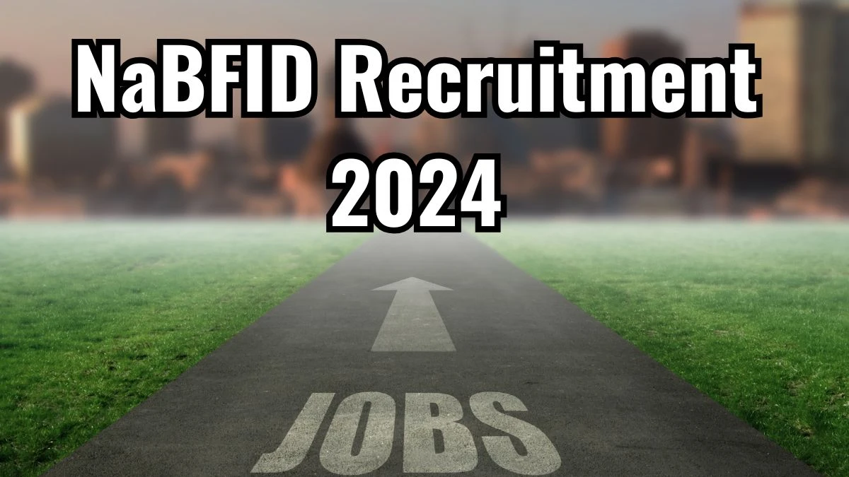 NaBFID Recruitment 2024 New Notification Out, Check Post, Vacancies, Salary, Qualification, Age Limit and How to Apply