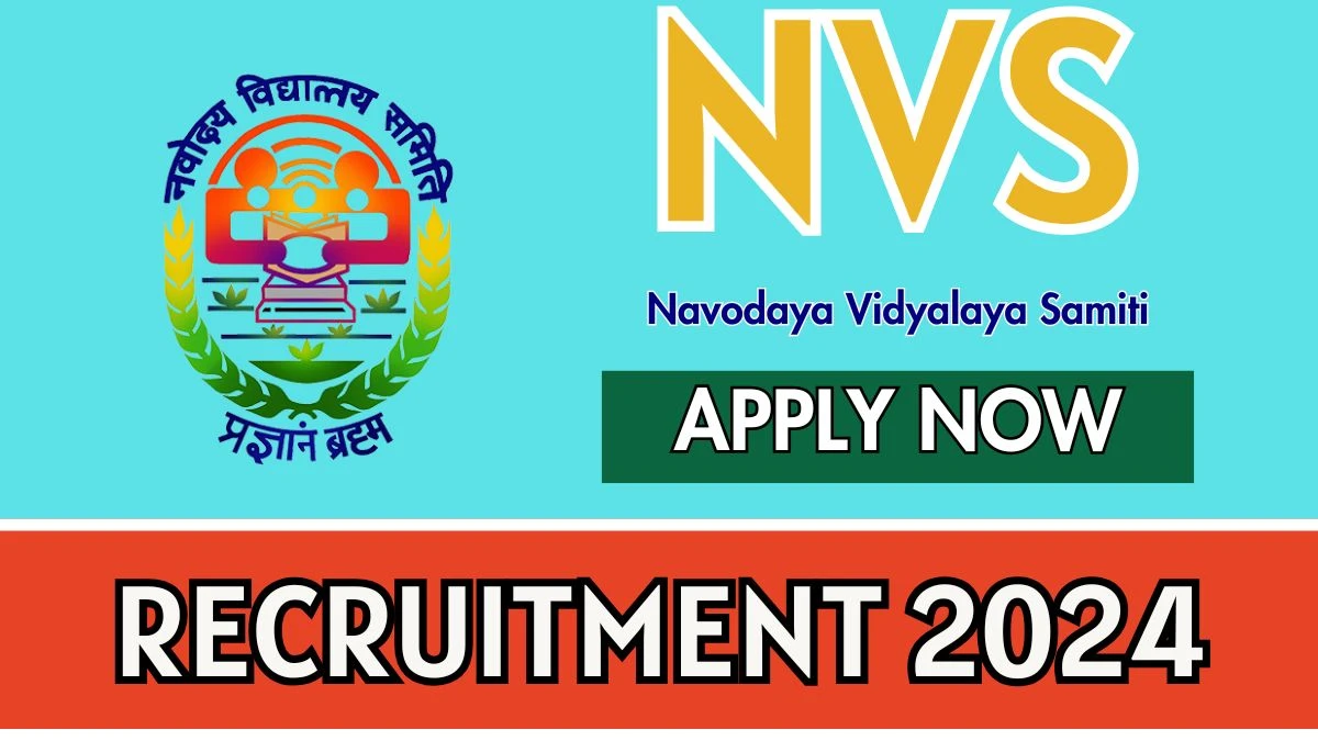 NVS Govt Jobs 2024: Executive Engineer Vacancies, B.E/ B.Tech Pass Jobs in Noida