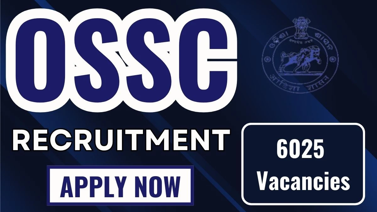 OSSC Recruitment 2024: 6025 LTR Teachers Vacancy, Graduate Pass Jobs in Bhubaneshwar