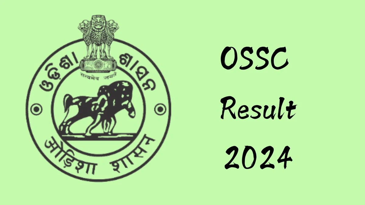 OSSC Result 2024 Announced. Direct Link to Check OSSC Statistical Assistant Result 2024 ossc.gov.in - 27 Nov 2024