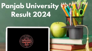 Panjab University Result 2024 (Announced) at puchd.ac.in Get Direct Link Here