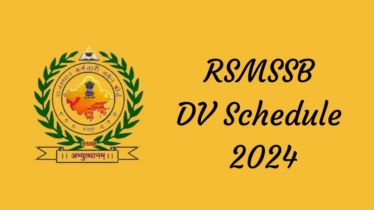 RSMSSB DV Schedule 2024: Junior Accountant and Tehsil Revenue Accountant  Check Document Verification Date @ rsmssb.rajasthan.gov.in - 08 Nov 2024