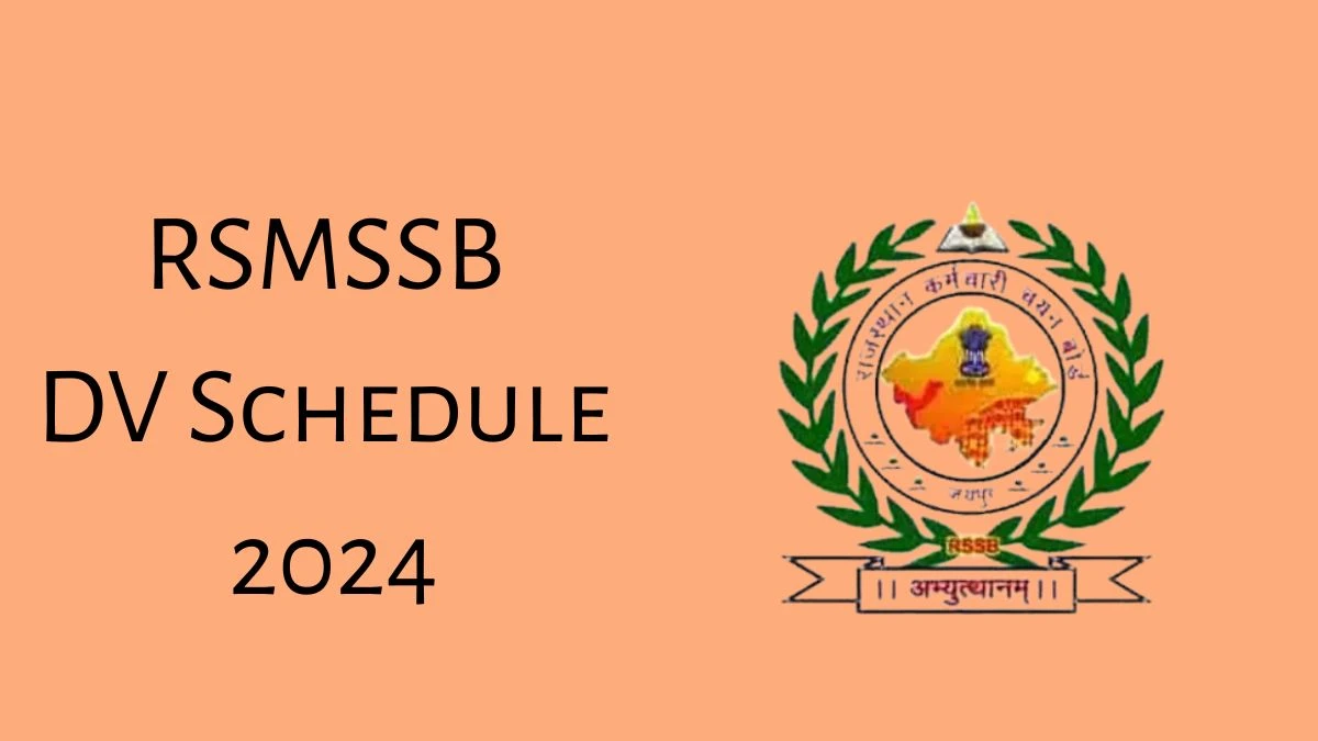 RSMSSB Information Assistant DV Schedule 2024: Check Document Verification Date @ rsmssb.rajasthan.gov.in