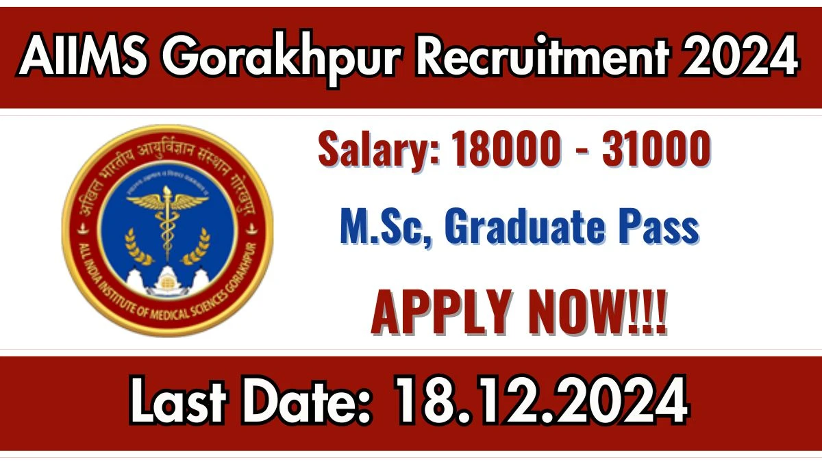 AIIMS Gorakhpur Govt Job Vacancy 2024: Project Associate I, Scientific Administrative Assistant Vacancies, Graduate Pass Jobs in Gorakhpur