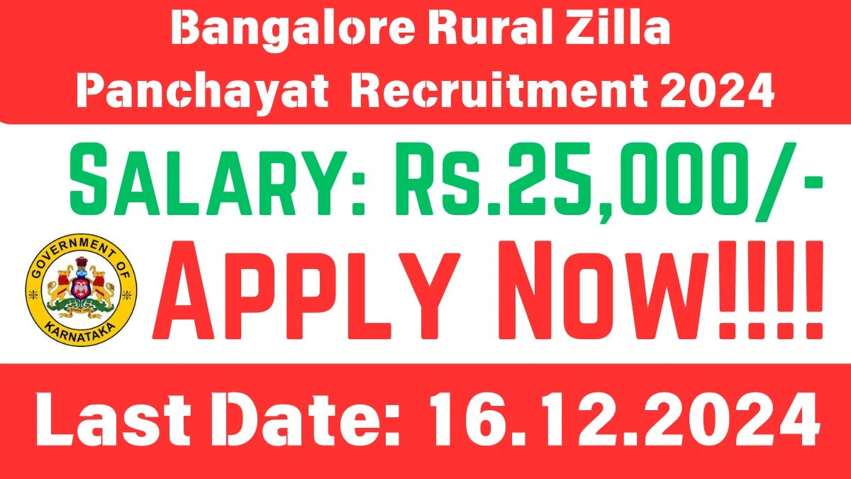 Bangalore Rural Zilla Panchayat Govt Job Vacancy 2024: Consultants Vacancies, B.E Pass Jobs in Bangalore