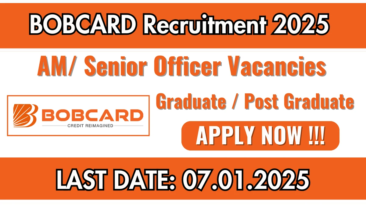 BOBCARD Recruitment 2025 Apply for AM/ Senior Officer Jobs @ bobcards.com