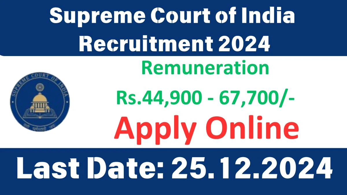 Delhi Govt Jobs Notifications 2024: Apply for Supreme Court of India Court Master, Senior Personal Assistant, Personal Assistant Job Vacancy in New Delhi