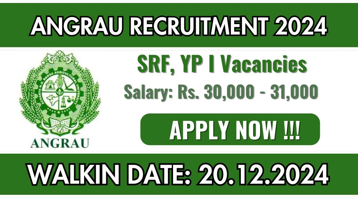 Direct Interview! ANGRAU Recruitment 2024 Salary Upto Rs.31,000 Apply for Senior Research Fellow, Young Professional I Posts