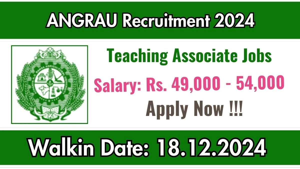 Direct Interview! ANGRAU Recruitment 2024 Salary Upto Rs.54,000 Apply for Teaching Associate Posts