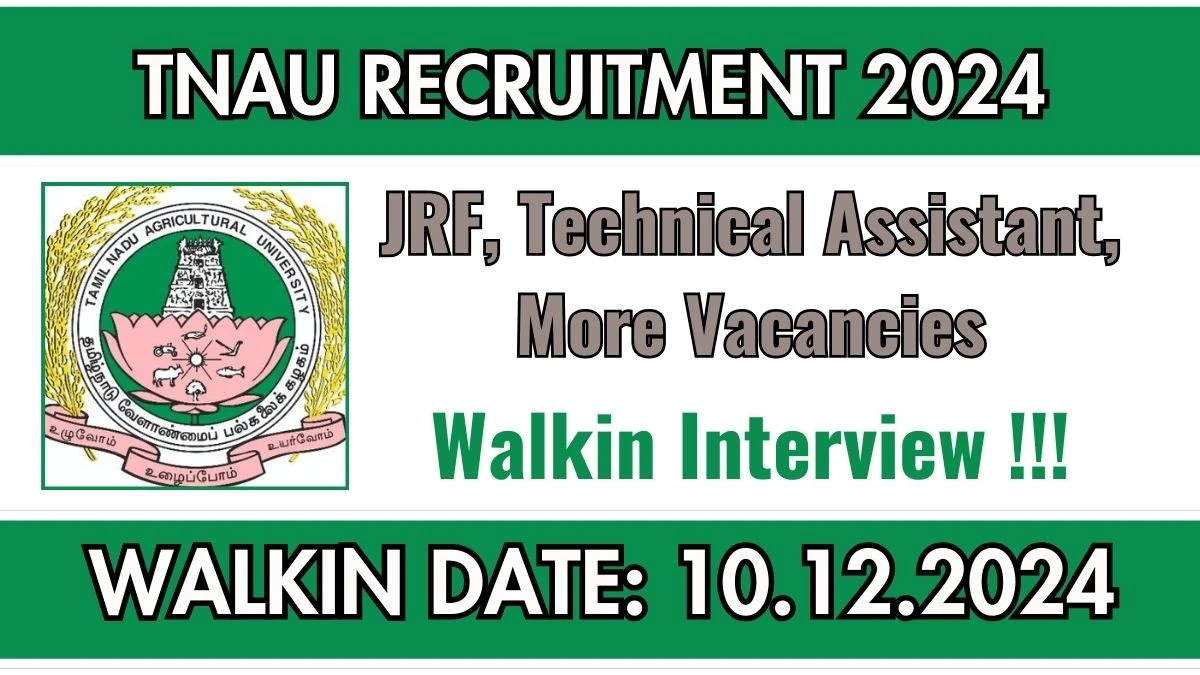 Direct Interview! TNAU Recruitment 2024 Salary Upto Rs.37,000 Apply for JRF, Technical Assistant, More Posts