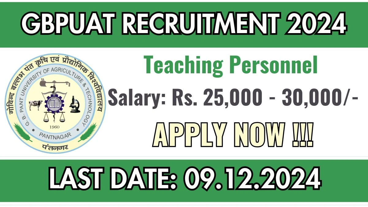 GBPUAT New Govt Job Vacancy in Udham Singh Nagar: Teaching Personnel Vacancies, Ph.D Pass Apply Now