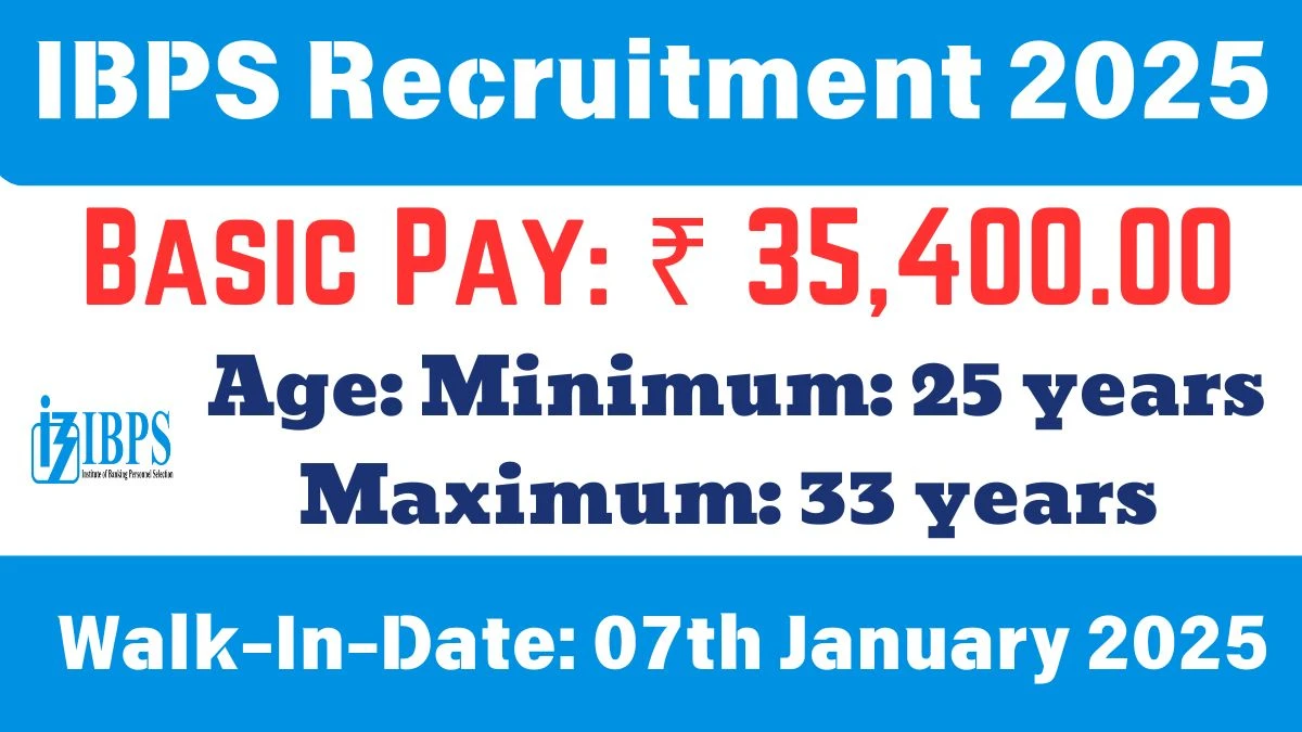 IBPS Recruitment 2025 Walk-In-Interview for Server Administrator Jobs @ ibps.in