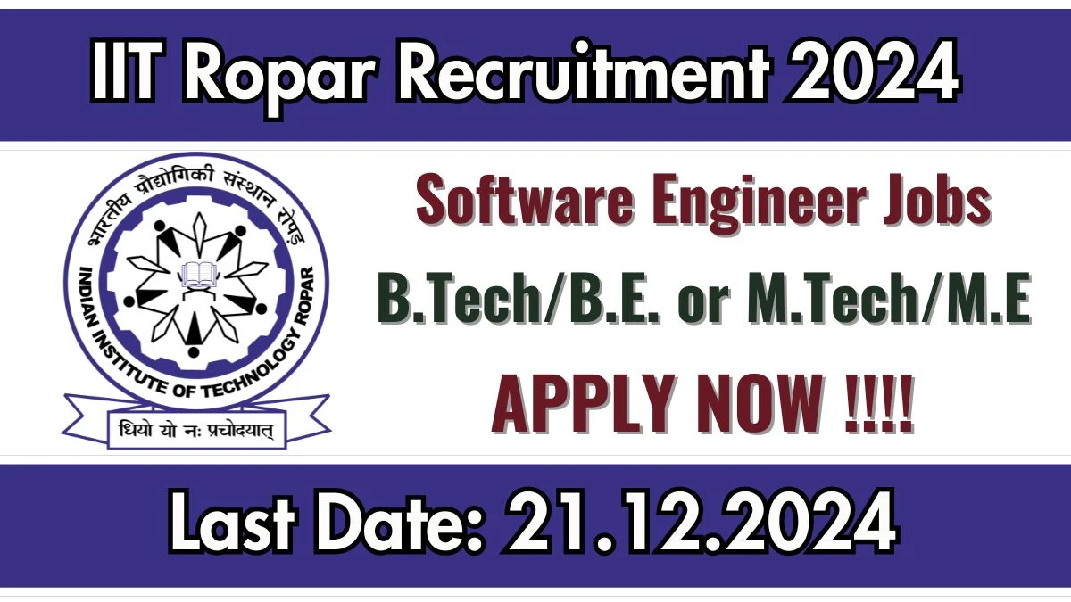 IIT Ropar Govt Job Vacancy 2024: Software Engineer Vacancies, B.E/ B.Tech Pass Jobs in Ropar