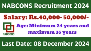 NABCONS Govt Job Vacancy 2024: Project Consultant Vacancies, Graduate Pass Jobs in Tamil Nadu