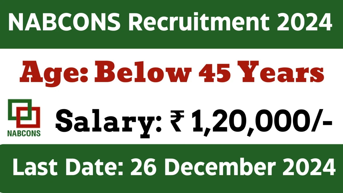 NABCONS Recruitment 2024 Apply for Software Developer Jobs @ nabcons.com