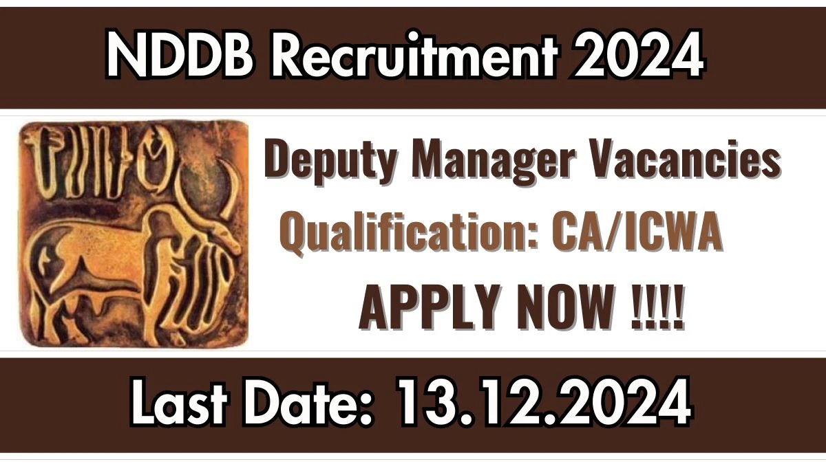 NDDB Govt Jobs 2024: Deputy Manager Vacancies, CA Pass Jobs in Anand