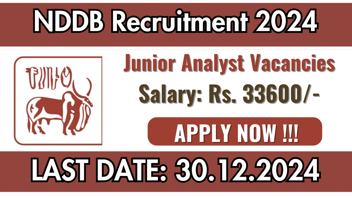 NDDB Recruitment 2024 Apply online now for Junior Analyst Job Vacancies Notification 17.12.2024