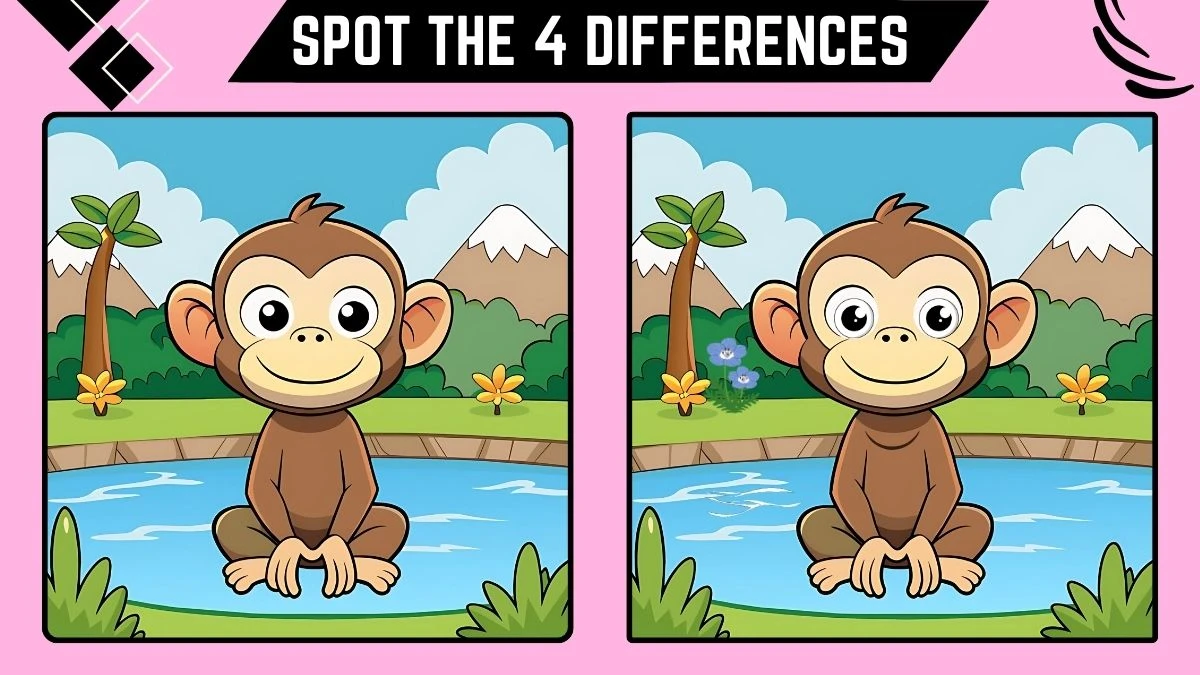 Optical Illusion Spot the Difference: Find 4 Differences in 10 Seconds in Monkey Image