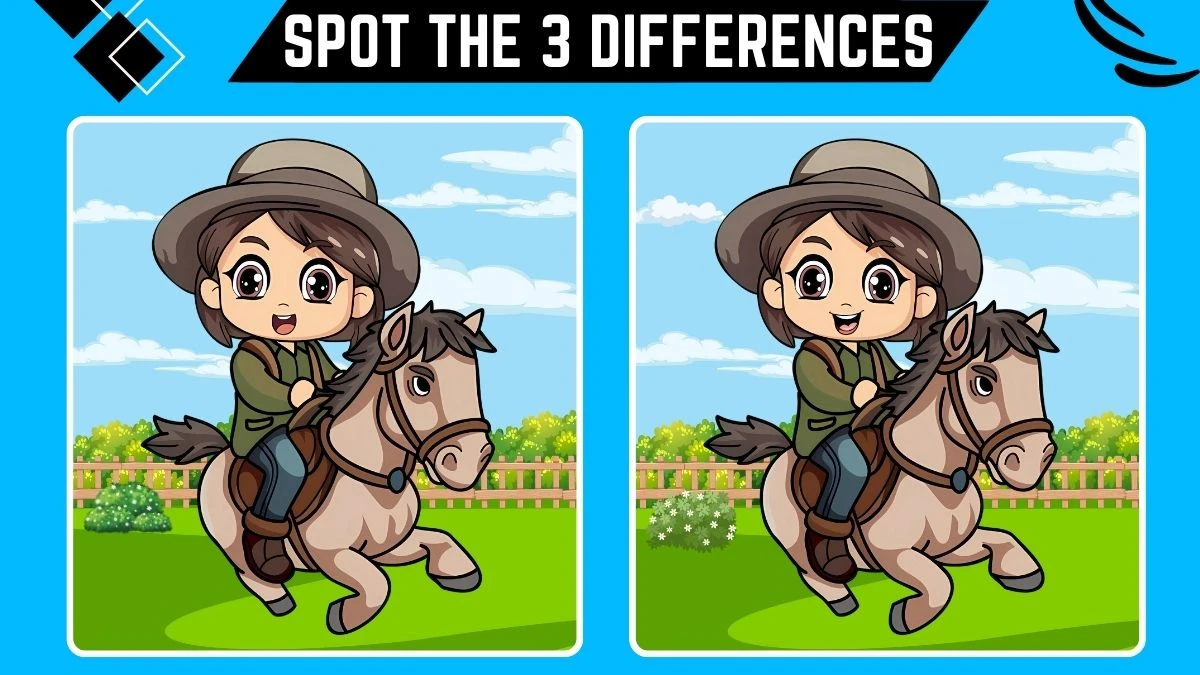 Optical Illusion Spot the Difference Game: Only 20/20 Vision can Spot the 3 Differences in this Image in 10 Secs