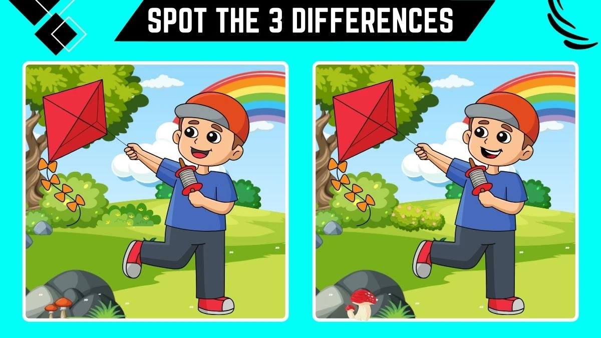 Optical Illusion Spot the Difference Game: Only 20/20 Vision can Spot the 3 Differences in this Boy Image in 9 Secs