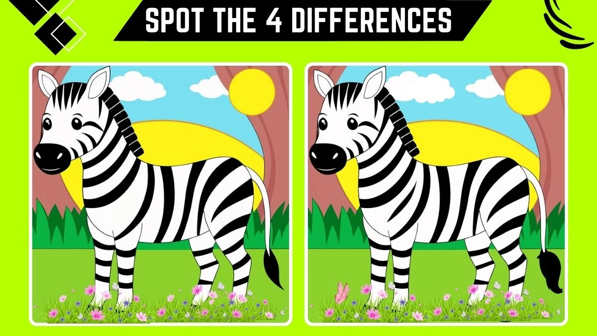 Optical Illusion Spot the Difference Game: Only Genius with Sharp Eyes Can Spot the 4 Differences in this Zebra Image in 10 Secs