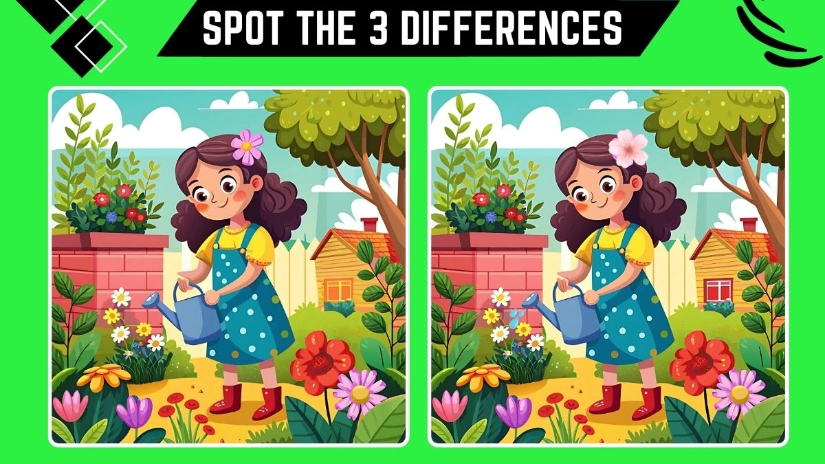 Optical Illusion Spot the Difference Game: Only People with Extra Sharp Eyes Can Spot the 3 Differences in this Girl Image in 10 Secs​