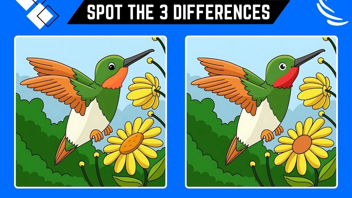 Optical Illusion Spot the Difference Game: Only People with Extra Sharp Eyes Can Spot the 3 Differences in this Bird Image in 8 Secs​