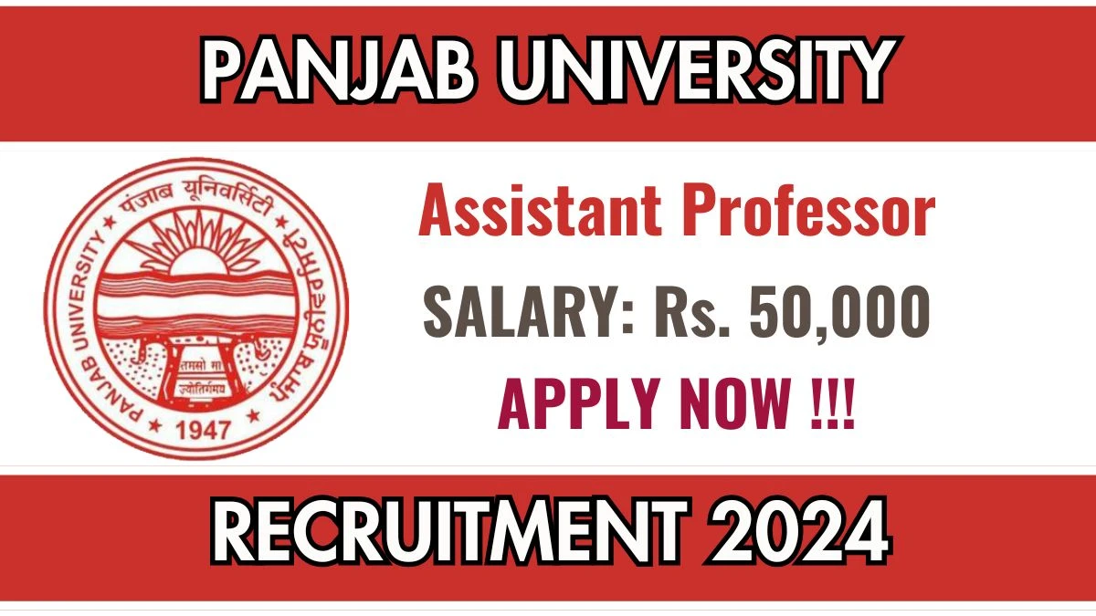 Panjab University Govt Sarkari Job Vacancy 2024: Assistant Professor Vacancies, PG Pass Jobs in Chandigarh