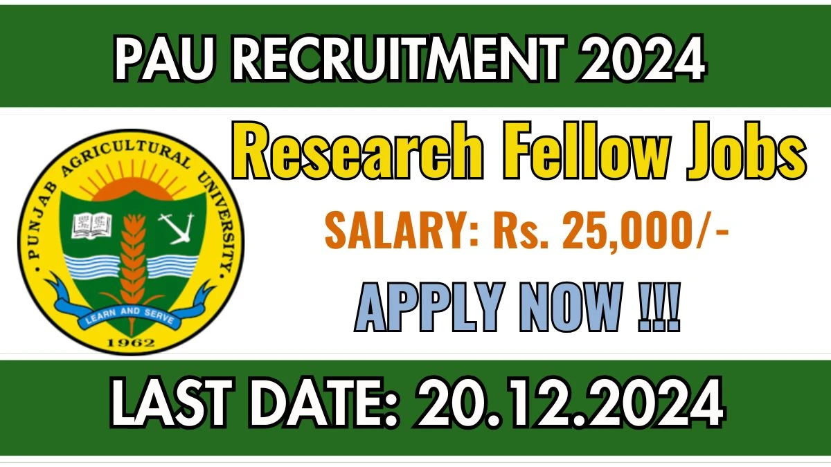 PAU Govt Job Vacancy 2024: Research Fellow Vacancies, B.Sc Pass Jobs in Ludhiana