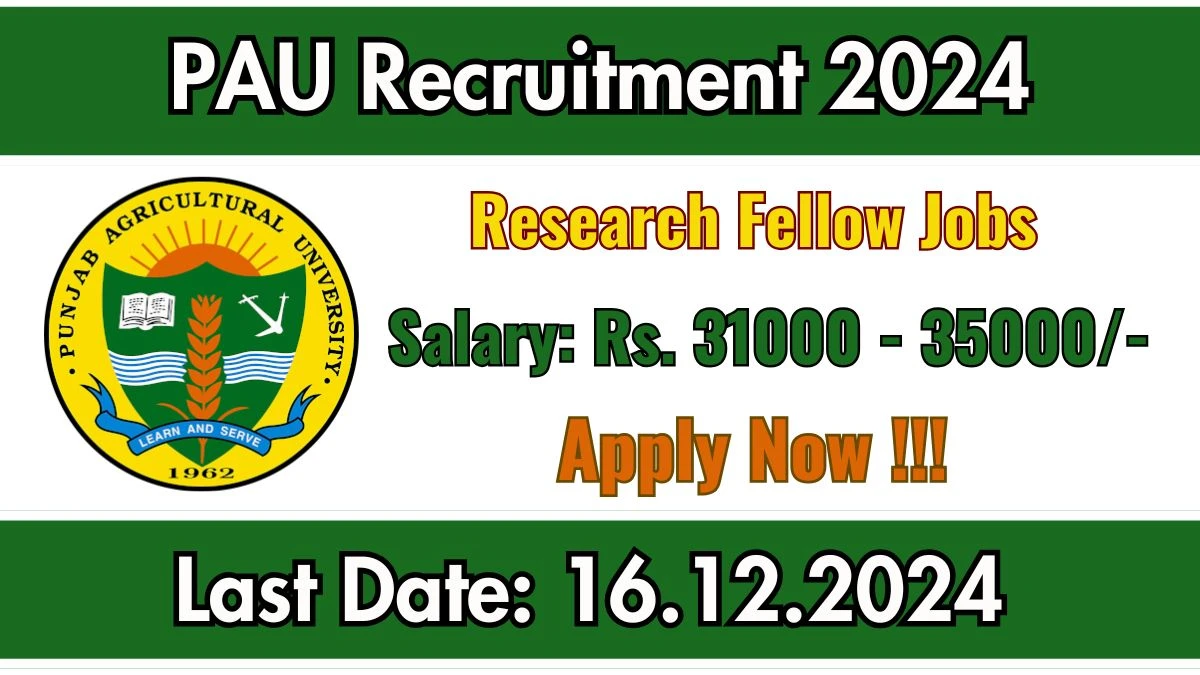 PAU Govt Sarkari Job Vacancy 2024: Research Fellow Vacancies, B.Sc Pass Jobs in Ludhiana