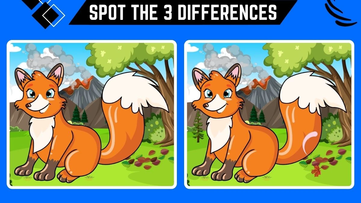 Spot the 3 Differences Game: Only 50/50 Vision People Can Spot the 3 Differences in this Cunning Fox Image in 10 Secs