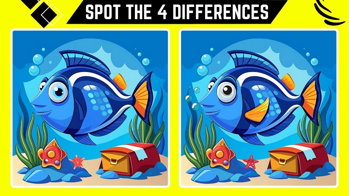 Spot the 4 Differences: Only People with Eagle Eyes Can Spot the 4 differences in this Fish Image in 10 Secs