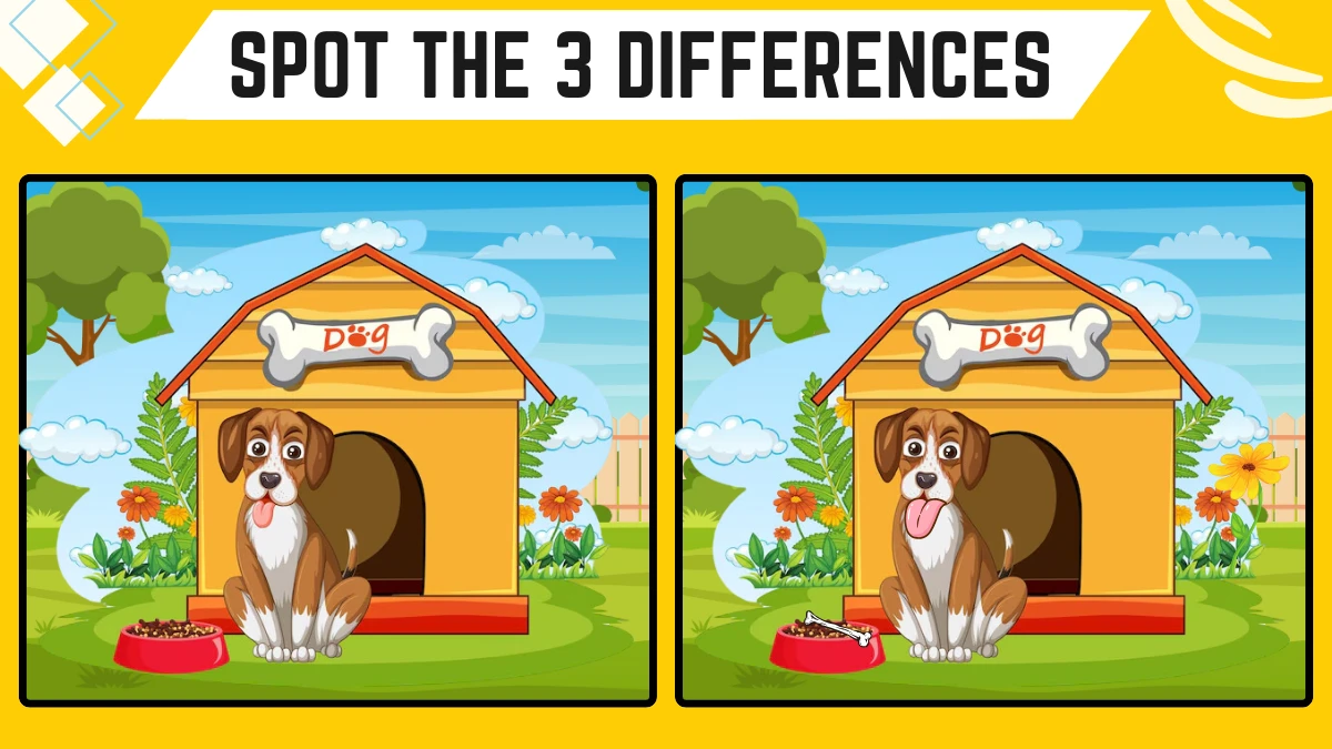 Spot the Difference Game: Only 20/20 Vision People Can Spot the 3 Differences in this Dog Image in 12 Secs