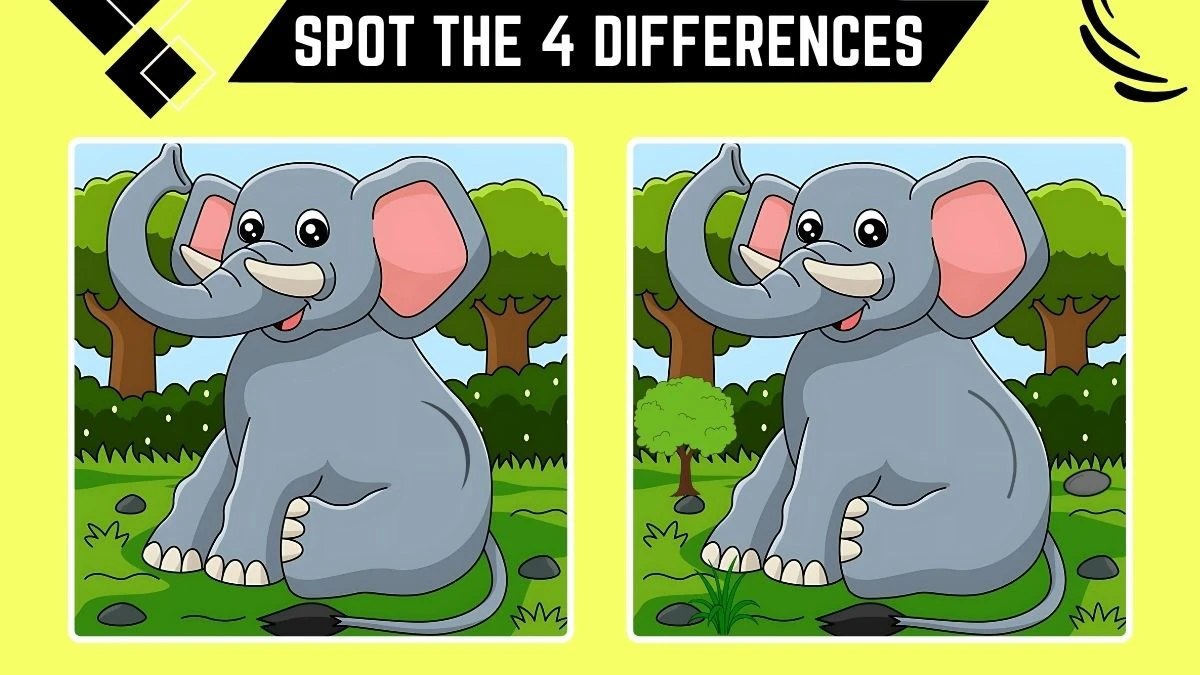 Spot the Difference Game: Only People with 50/50 Vision Can Spot the 4 Differences in this Elephant Image in 10 Secs