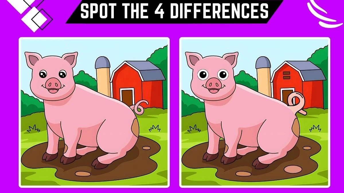 Spot the Difference Picture Puzzle Game: Only 50/50 Vision People Can Spot the 4 Differences in this Pig Image in 13 Secs