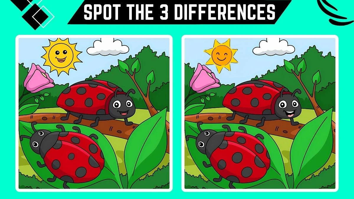 Spot the Differences Game: Only People with Eagle Eyes Can Spot the 3 Differences in this Ladybug Image in 12 Secs