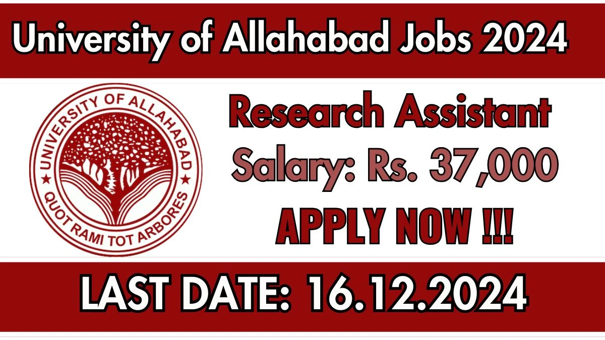 University of Allahabad Govt Job Vacancy 2024: Research Assistant Vacancies, M.A Pass Jobs in Allahabad