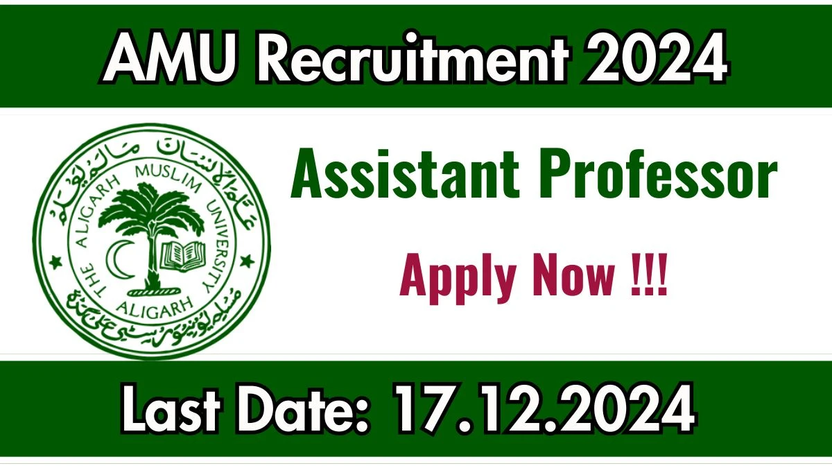 Uttar Pradesh Govt Jobs Notifications 2024: Apply for AMU Assistant Professor Job Vacancy in Aligarh