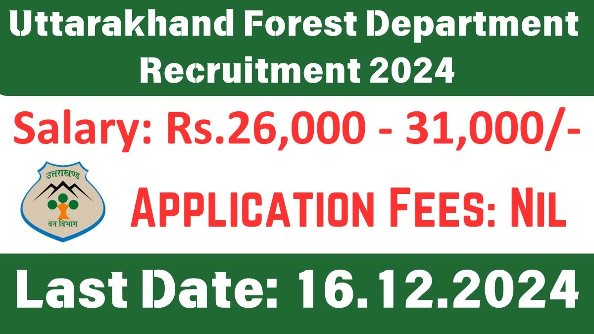 Uttarakhand Forest Department Recruitment 2024 Salary Upto 31000 Apply for Junior Research Fellow Posts