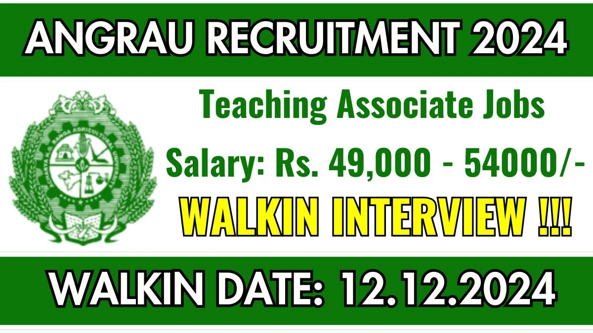 WalkIn Interview! ANGRAU Recruitment 2024 Salary Upto Rs. 54,000 Apply for Teaching Associate Posts