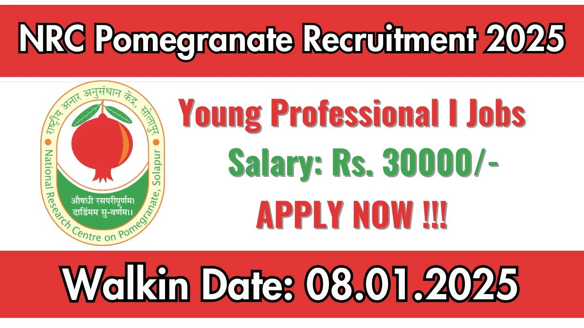 WalkIn Interview! NRC Pomegranate Recruitment 2025 Salary Upto Rs.30,000 Apply for Young Professional I Posts