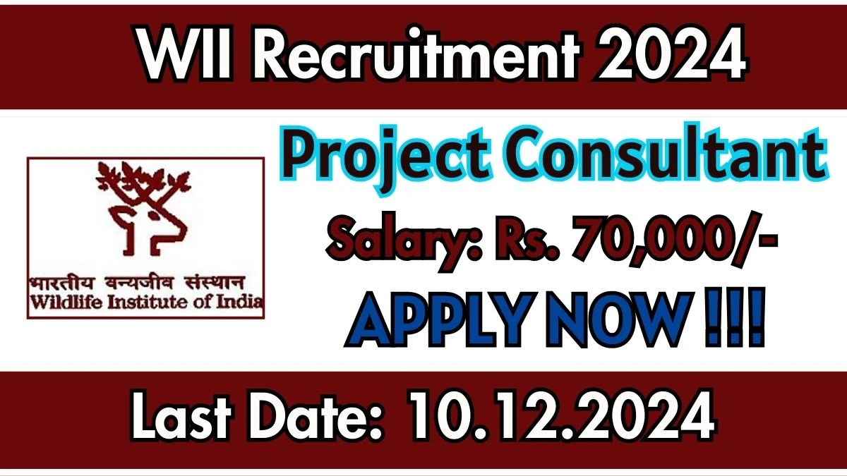 WII Recruitment 2024 Salary Upto Rs. 70,000 Apply for 3 Project Consultant Posts