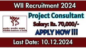 WII Recruitment 2024 Salary Upto Rs. 70,000 Apply for 3 Project Consultant Posts