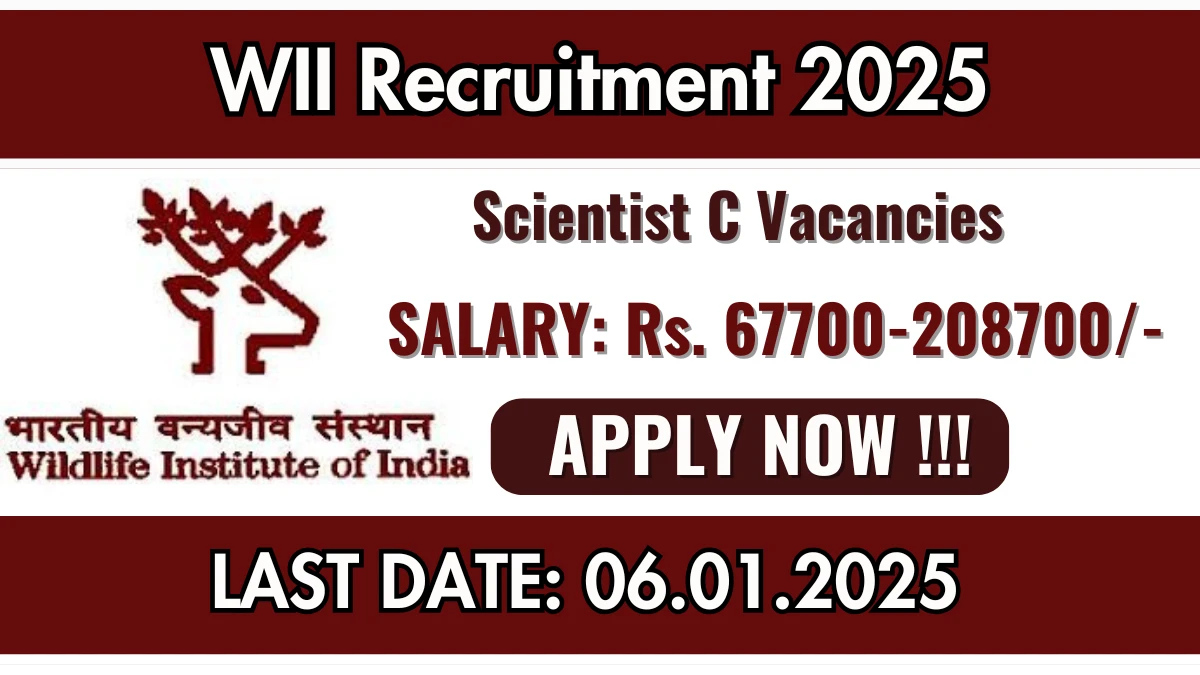 WII Recruitment 2025 Salary Upto Rs. 2,08,700 Apply for Scientist C Posts