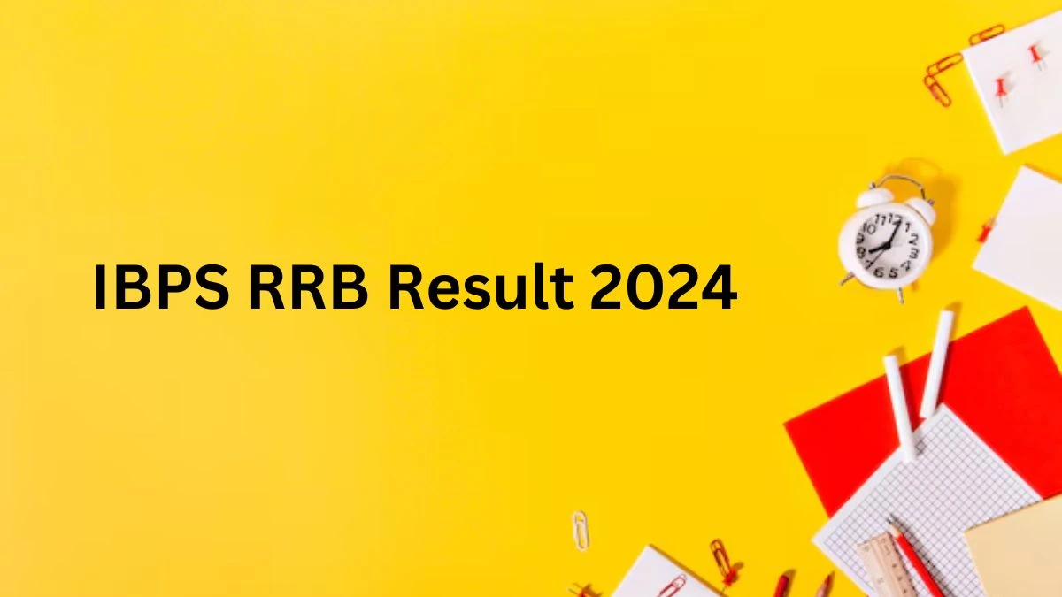 IBPS RRB Result 2025 Declared ibps.in Office Assistant And Officer Scale I, II And III Check IBPS RRB Merit List Here - 02 Jan 2025