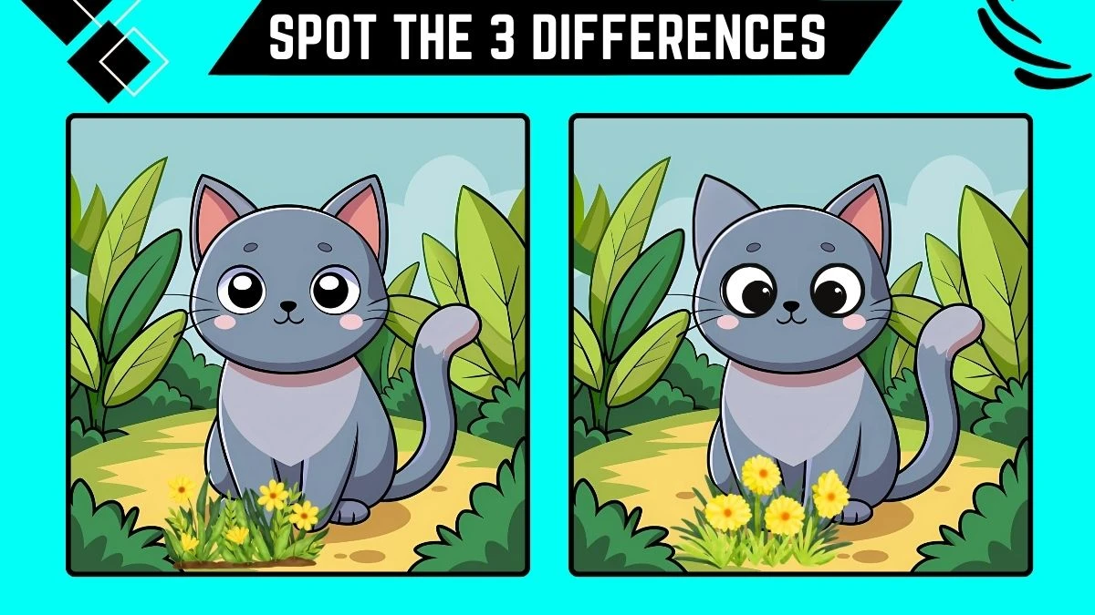 Optical Illusion Spot the Difference Game: Only Eagle Eyes Can Spot the 3 Differences in this Cat Image in 10 Secs